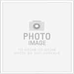 網站有做為什麼沒人來？重整數位門面｜SEO成效案例｜蘋果網頁設計