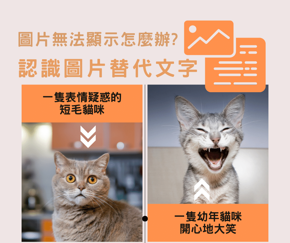 圖片遺失?顯示異常?台南網頁設計教您讓文字代替圖片傳達信息